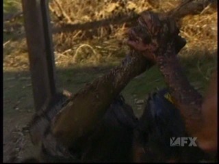 Fear Factor Mud Sling
