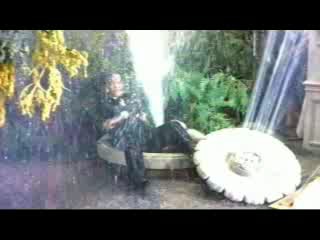 STL/Funny Face/Bailey's Billions