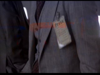 Where the Buffalo Roam