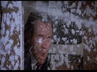 Where the Buffalo Roam