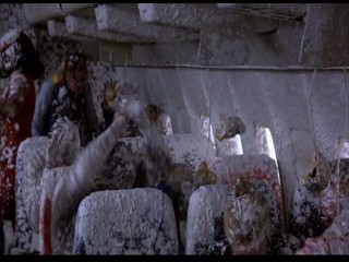 Where the Buffalo Roam