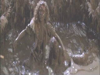 A Midsummer Night's Dream