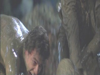 A Midsummer Night's Dream