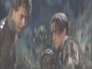 A Midsummer Night's Dream