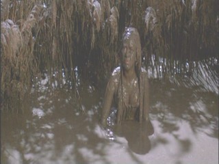 A Midsummer Night's Dream