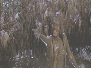 A Midsummer Night's Dream