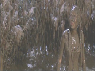 A Midsummer Night's Dream