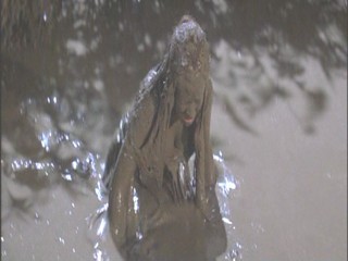 A Midsummer Night's Dream