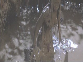 A Midsummer Night's Dream