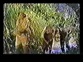 The Story of Vernon of Irene Castle, Two Knights from Brooklyn,  Jungle movie,  Three Little Girls in Blue,