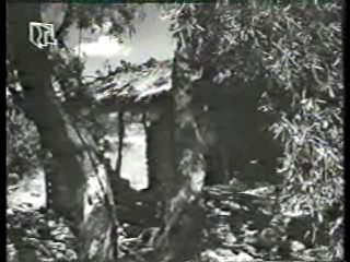 Vintage European Films (2)