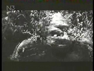 The Day the World Ended