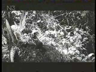 The Day the World Ended