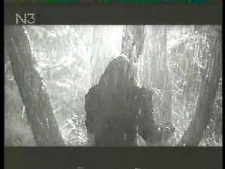 The Day the World Ended