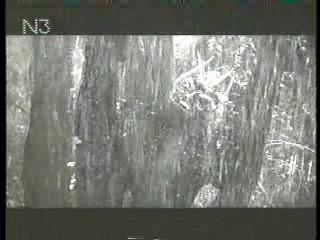 The Day the World Ended