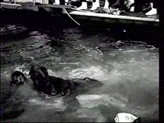 Vintage film,  Benny Hill