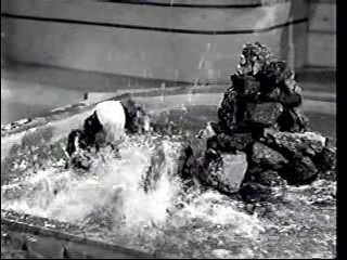 The Guerins from Brooklyn