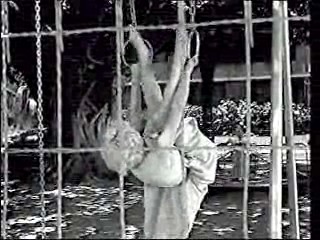 Hell and High Water,  Kiss Her Goodbye