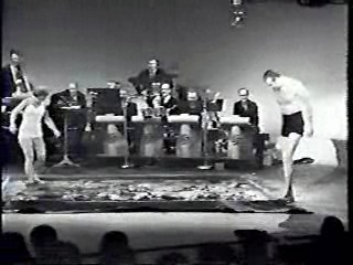 The Steve Allen Show