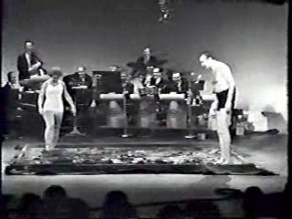 The Steve Allen Show