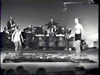 The Steve Allen Show