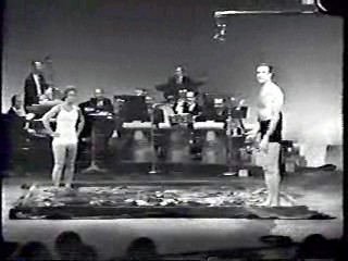 The Steve Allen Show