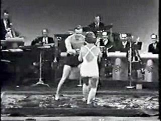 The Steve Allen Show