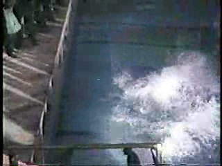 It's A Wonderful Life (colorized version)