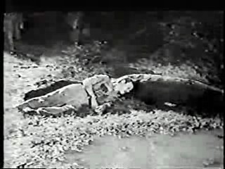 Lure of the Swamp,  Anything For Money