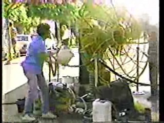 Lure of the Swamp,  Anything For Money