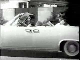 The 3 Stooges,  Who's Minding the Store