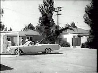 The 3 Stooges,  Who's Minding the Store