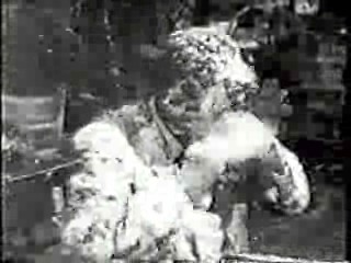 The 3 Stooges,  Who's Minding the Store