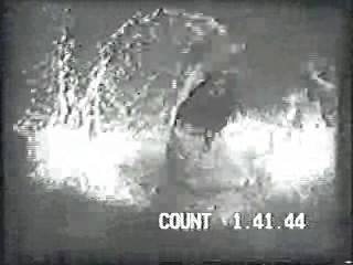 Leon Errol short film