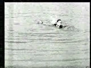 Buster Keaton films,  Keaton Documentary