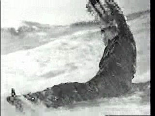 Foreign Correspondent