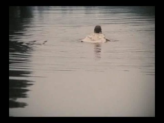 Jak se budi princezny - Czech fairy tale