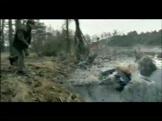 Sametovi vrazi (Czech thriller)