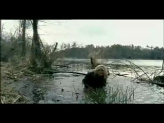 Sametovi vrazi (Czech thriller)