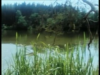 O princezne Jasnence ... (CZ fairytale)