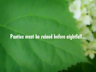 Teaser for wamkitty.com