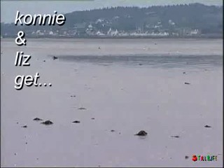 Blue Peter mud scene