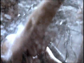 Kate Moss Rimmel advert