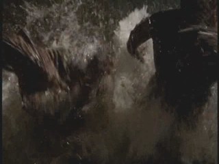 Buffy - 2x20 - Wet Scene