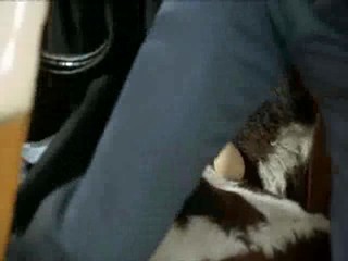 Les Bidasses En Folie (MALE WAM)