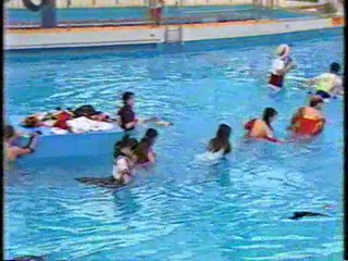 Japanese TV  gameshow