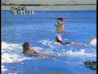 Japanese TV gameshow