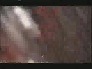 Dr Who - The Runaway Bride