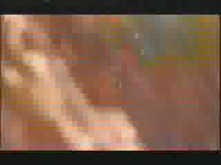 Dr Who - The Runaway Bride