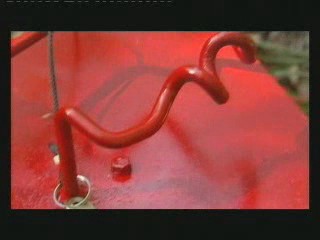 I'm a Celebity - Get Me Outta Here